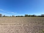 Doppelhaushälfte mit viel Platz und Blick in die Natur, Ortsrand von Südlohn - Blick aufs Feld