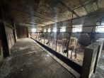 Landleben! Einfamilienhaus mit Halle und Stallgebäuden, Außenbereich von Haltern, Lippramsdorf - Kuhstall innen