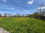 Exklusives Wohnen im EG! Landhaus mit Nebengebäude und Ländereien im Außenbereich von Havixbeck - Landleben